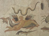 Mosaikboden, Bad Vilbel, Ende 2./Anf. 3. Jh. nach Chr., Ausschnitt Eros mit Delphin