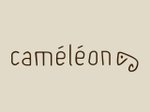 Caméléon Darmstadt Logo