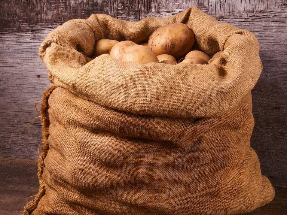 Potatoes From A Sack Lying On Wooden Boards
