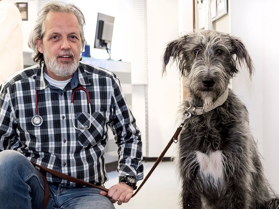 Tierarzt Martin Kniese mit seinem Irischen Wolfshund Elza